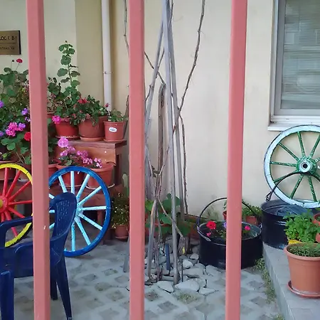 מלון דירות Sunny 3*